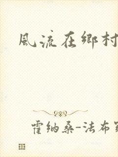风流在乡村封面