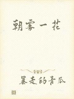 朝雾一花封面