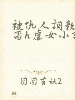 被仇人调教成禁脔h虐女小说封面