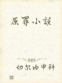 原罪小说