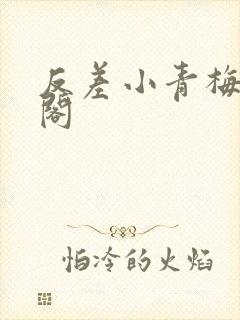 反差小青梅笔趣阁