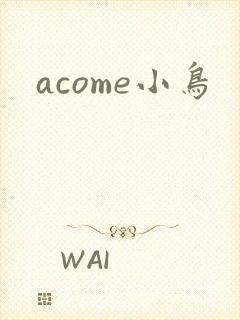 acome小鸟