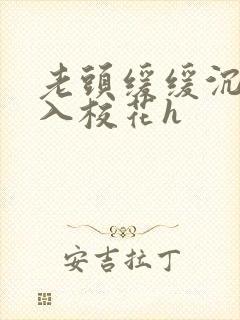 老头缓缓沉腰进入校花h封面