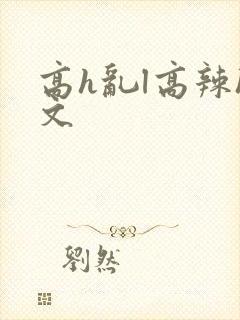 高h乱l高辣h文