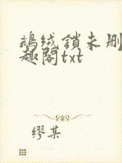 鹅绒锁未删除笔趣阁txt
