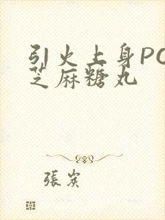 引火上身POP芝麻糖丸