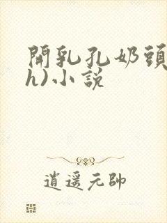 开乳孔奶头(高h)小说