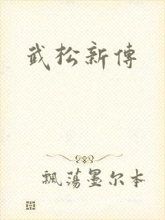武松新传