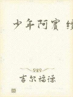 少年阿宾 续