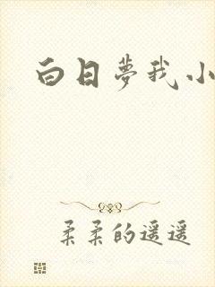 白日梦我小说封面