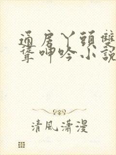 通房丫头双乳高耸呻吟小说