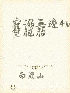 宠溺无边4V2双胞胎