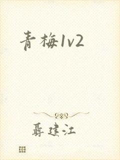 青梅1v2