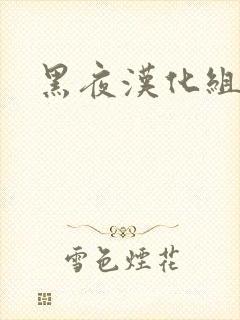黑夜汉化组