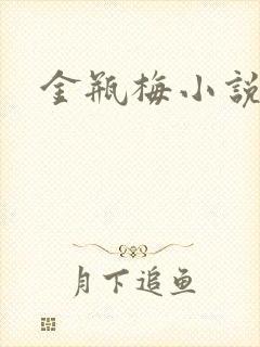 金瓶梅小说下载