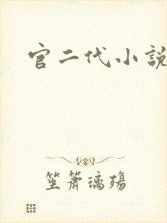 官二代小说封面