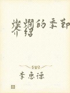 灿烂的季节剧情介绍封面