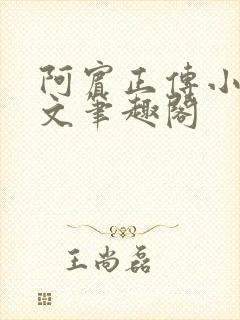 阿宾正传小说全文笔趣阁