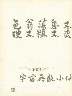 色翁荡息又大又硬又粗又爽电影