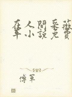 在人间采薇陆三平小说免费阅读