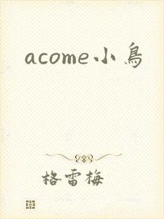 acome小鸟