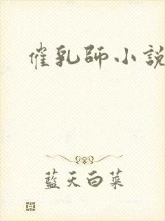 催乳师小说