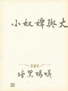 小奴婢与大少爷