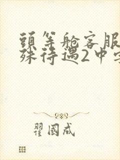 头等舱客服的特殊待遇2中字