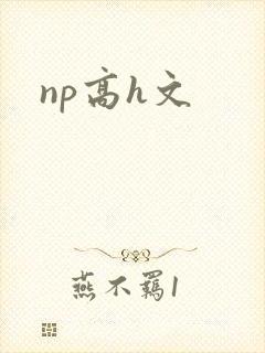 np高h文封面