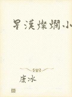 星汉灿烂小说