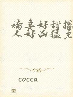 娇妻好甜总裁大人好凶猛免费小说