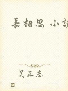 长相思 小说