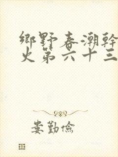 乡野春潮干柴烈火第六十三章封面