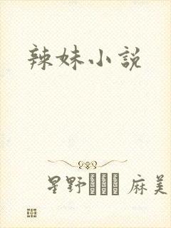 辣妹小说