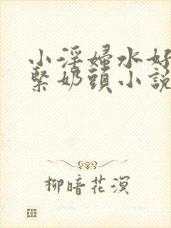 小淫妇水好多真紧奶头小说