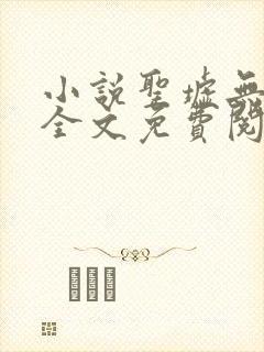 小说圣墟无弹窗全文免费阅读