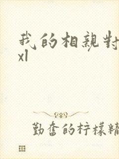 我的相亲对象是xl