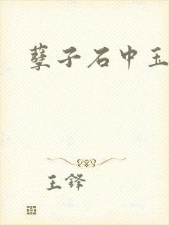 孽子石中玉
