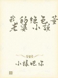 我的绝色董事长老婆 小说