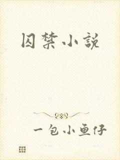 囚禁小说