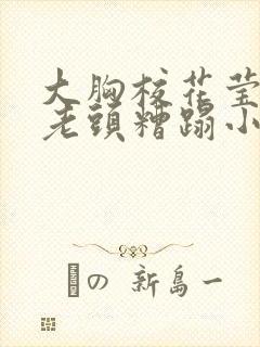 大胸校花莹莹被老头糟蹋小说