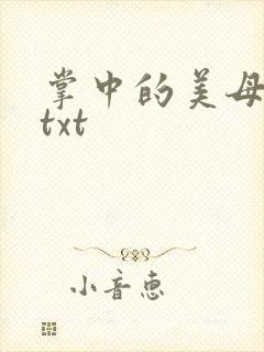 掌中的美母版主txt