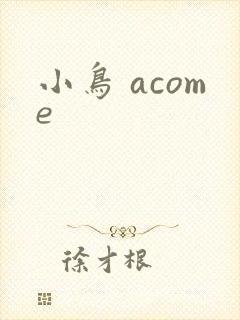 小鸟 acome