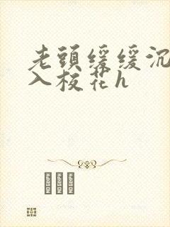 老头缓缓沉腰进入校花h