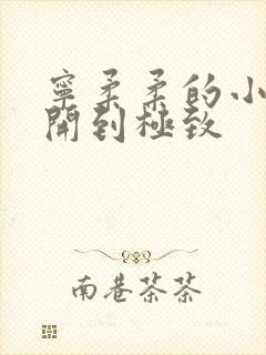 宁柔柔的小泬撑开到极致