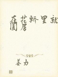 在花轿里就开始圆房封面