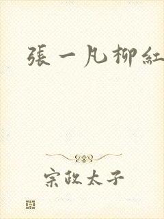 张一凡柳红
