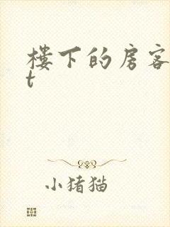 楼下的房客txt封面