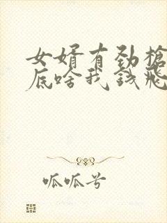 女婿有劲枪枪到底啥我钱飞了封面