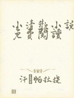 小清欢小说全文免费阅读